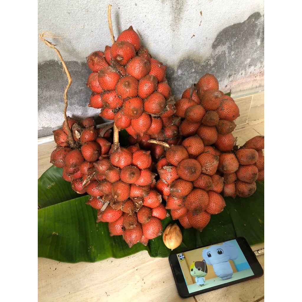 ระกำเปรี้ยว ขนาด1กิโล