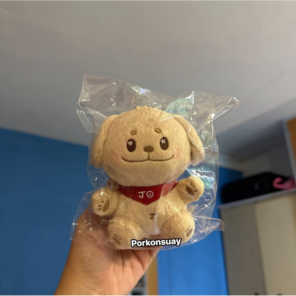 [NEW COLLECTION] ตุ๊กตา sim jerri jake enhypen แท้100% (ของใหม่)