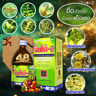 ‼️ลัง 48 ขวด‼️ จิ๊บโต้ 100 ซีซี ยายืด กรดจิบเบอเรลลิก แอซิด …