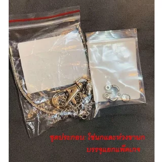 โซ่คล้องขานกสแตนเลส พร้อมห่วงขานก สายยืดคล้องขานก ห่วงเปิดนก นกแก้ว ฟอพัส หงษ์หยก เลิฟเบิร์