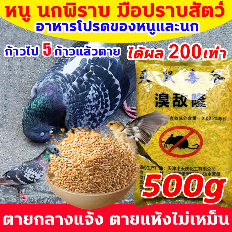 1วิตายเกลี้ยง ยาเบื่อนก ยาฆ่านกพิราบ 500กรัม ยากำจัดนกพิราบ ทำลายอวัยวะภายในตายใน 1วัน แห้งเร็วและไม่มีกลิ่น เห็นผลชัวร์