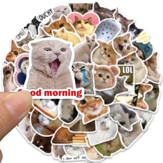 💥จัดส่งจากประเทศไทย💥stickerอีโมจิแมว สติกเกอร์ กันน้ํา ลาย สติกเกอร์สําหรับกระเป๋าเดินทางเคสโทรศัพท์แล็ปท็อปโน้ตบุ๊