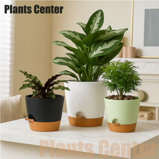 T031 กระถางต้นไม้ทรงตรงปากกว้าง เรียบง่ายมีสไตล์ กระถางไม้ฟอ…