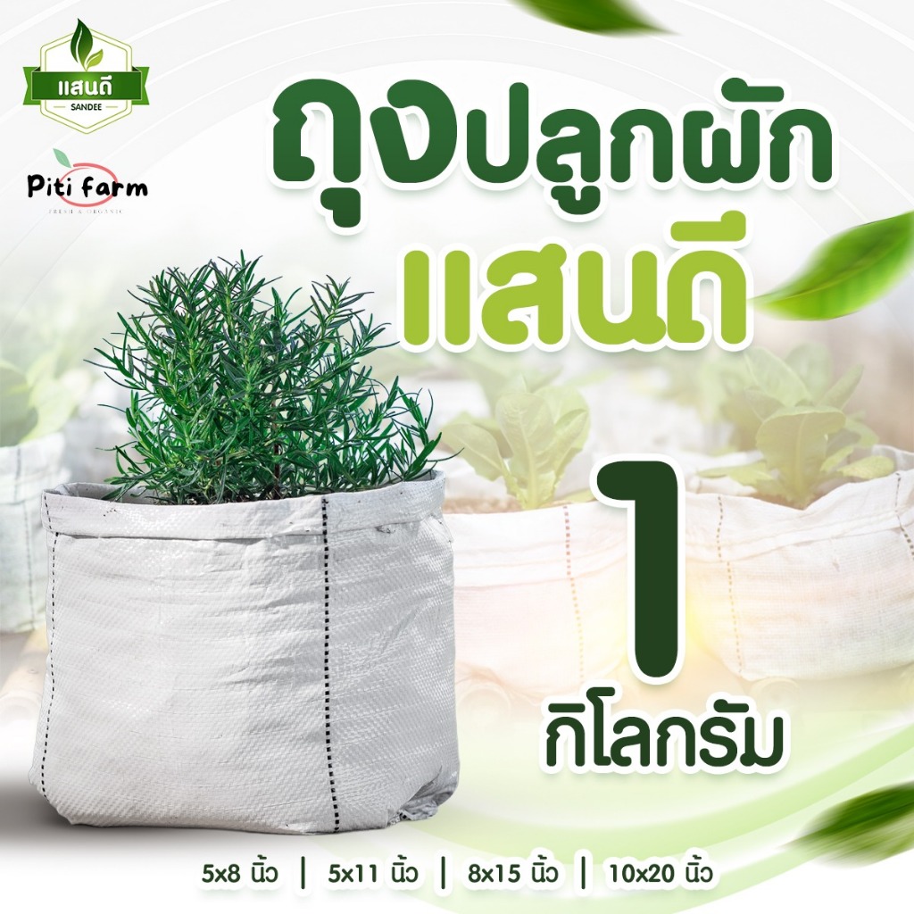 ถุงปลูกแสนดี ปลูกผัก ระบายน้ำ ระบายอากาศ ไม่รากเน่า ปลูกผักกินเอง ขนาด 5x8, 5x11, 8x15,10x20