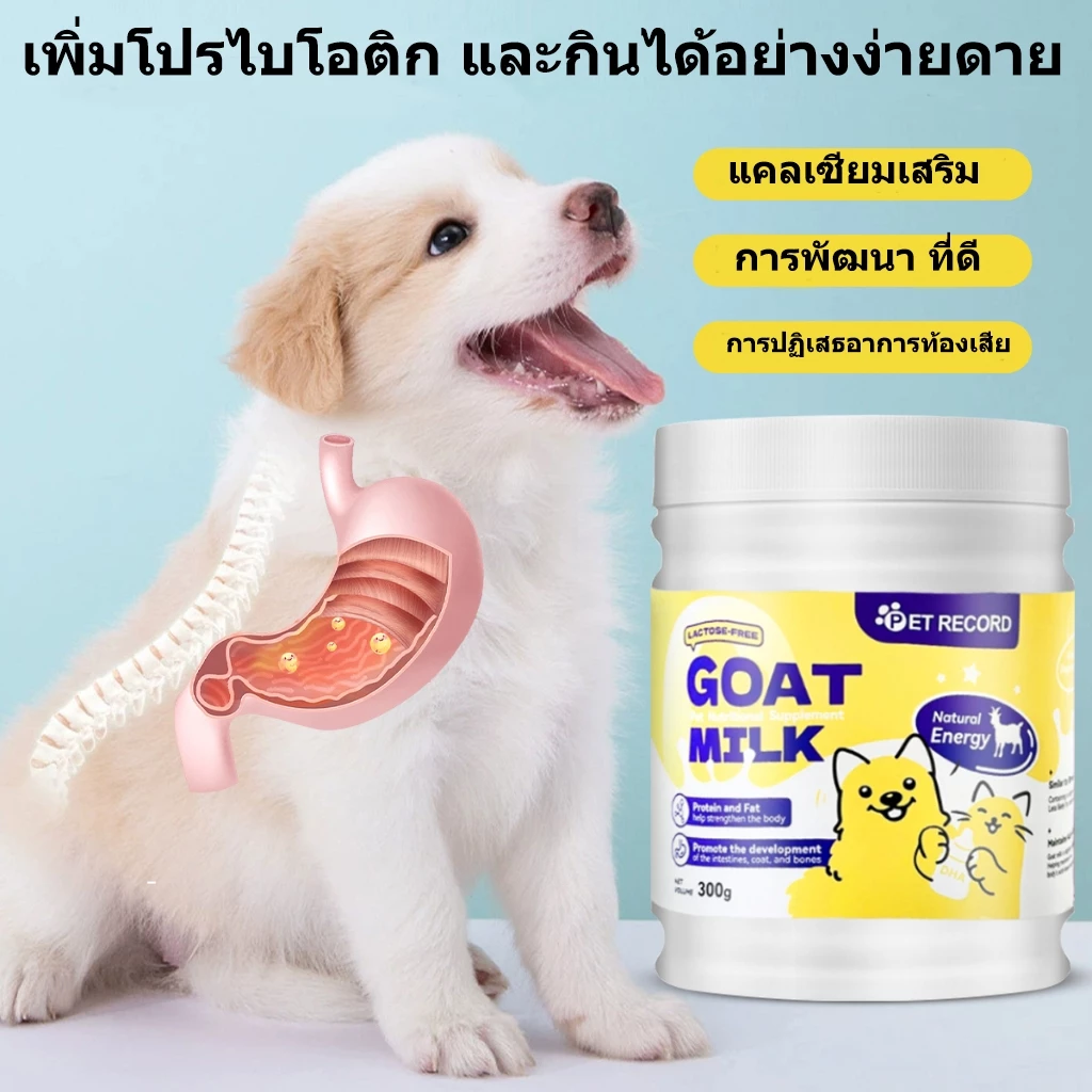 Pet Record นมผงแกะ เสริมสร้างสมรรถภาพทางกาย อุดมไปด้วยสารอาหาร ช่วยเติบโต เหมาะสำหรับสุนัขและแมว 300g thumbnail 8