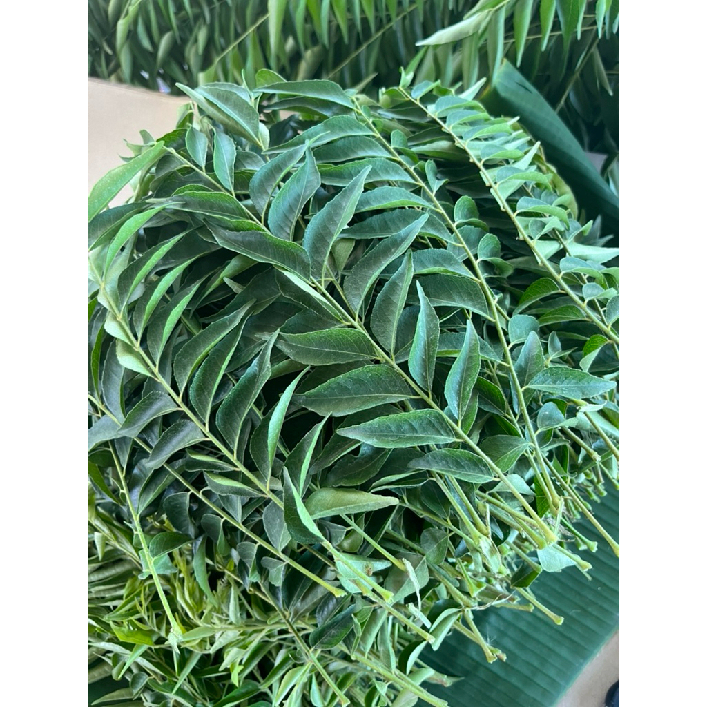 Curryleavesใบแกงใบกะหรี่ใบหอมแขก..1..กก.1..kg.