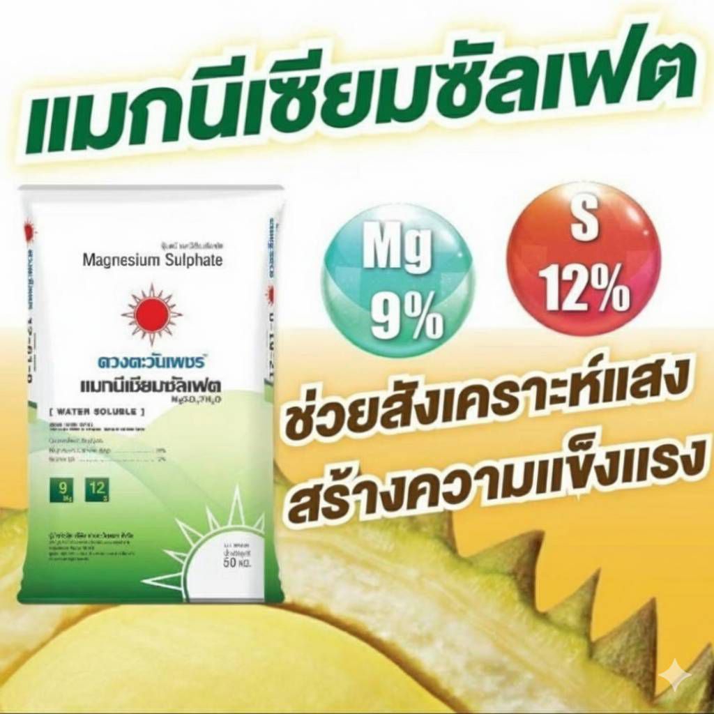 (ยกกระสอบ25kg)แม่ปุ๋ย MgSO4 แมกนีเซียมซัลเฟต เฮปตะไฮเดรต (ดีเกลือฝรั่ง) ช่วยให้พืชสังเคราะห์แสง ดวงตะวันเพชร