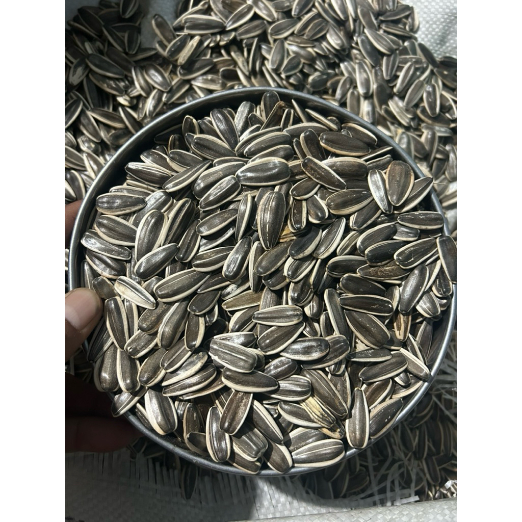 ทานตะวัน เอป้อมใหญ่ อาหารนกแก้ว และ สะอาด ไม่มีฝุ่น (แบ่งขาย 200G / 500G / 1kG)