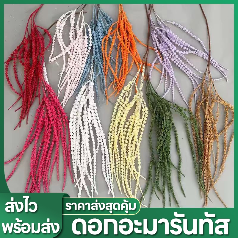 110 ซม ผักโขม ดอกผักโขมฟอกขาว ดอกอะมารันทัส Amaruntus ดอกไม้preserved อากาศหญ้าแต่งงานเพดานตกแต่ง