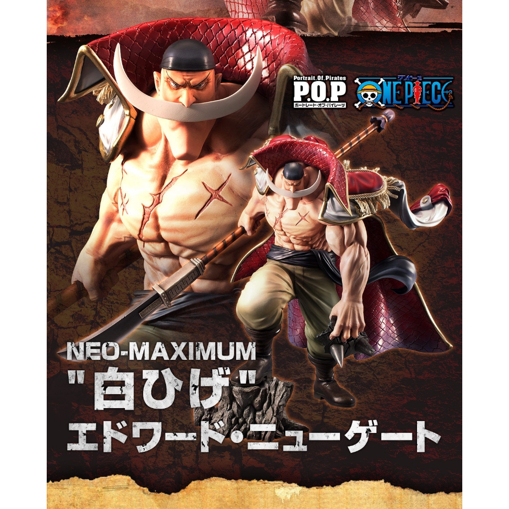 POP MAXIMUM - Edward Newgate ( Whitebeard )
