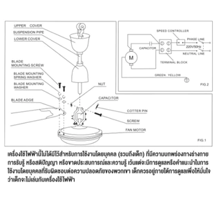 IWACHI พัดลมติดเพดาน มี 2 ขนาด 48นิ้ว และ 56นิ้ว ไฟบ้าน 220V 60W มอเตอร์ทองแดงแท้100% ใบพัดเหล็ก3ใบ พร้อมสวิทซ์พัดลม