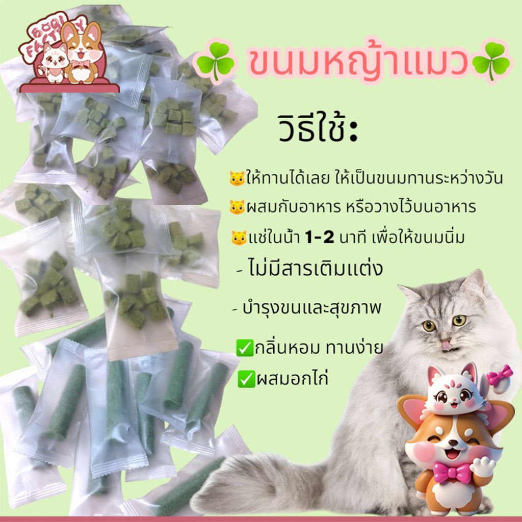 Boqi Factory  ขนมหญ้าแมว ฟรีซดราย ผลิตจากต้นอ่อนข้าวสาลี ผสมอกไก่ Catnip Package