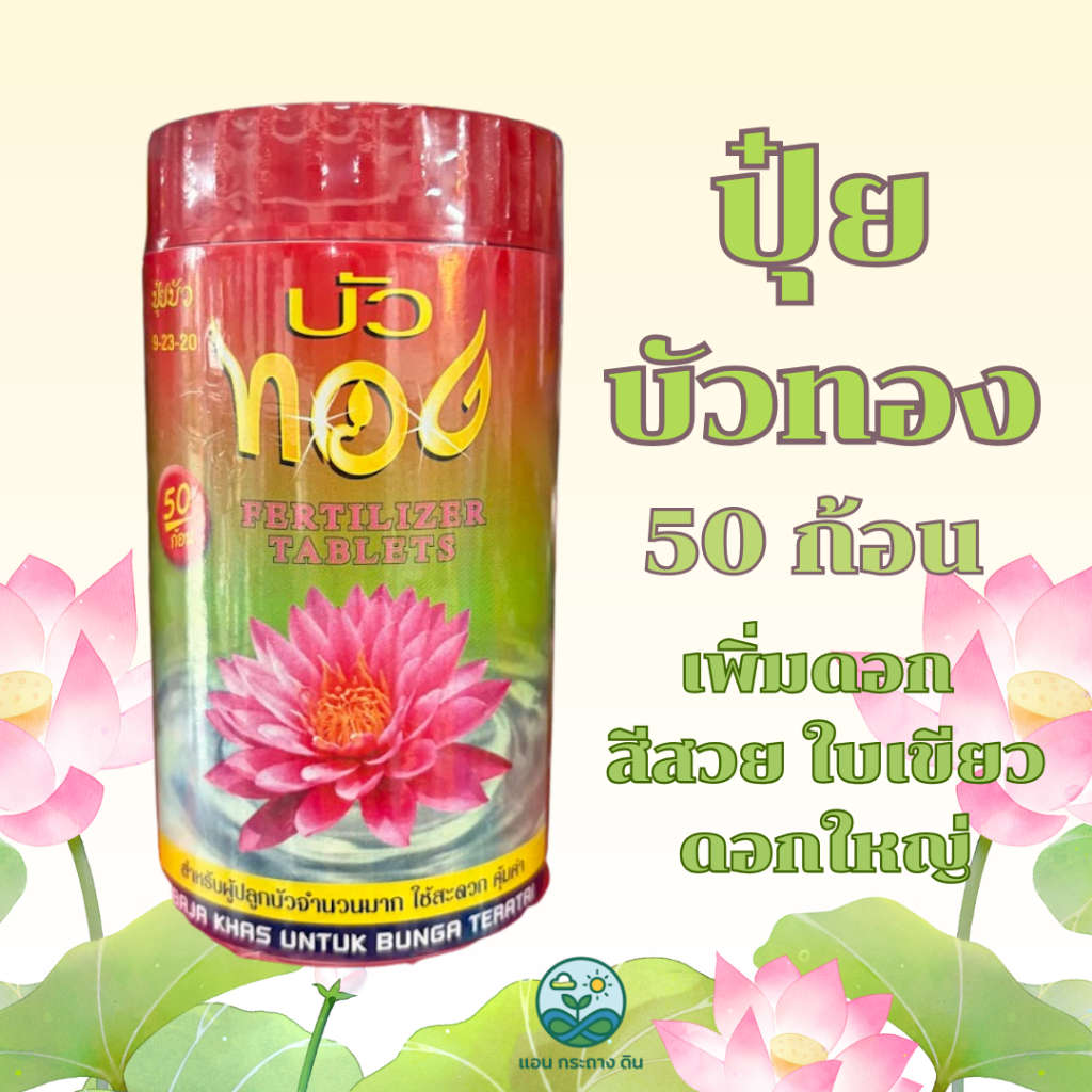 ปุ๋ยบัว บัวทอง เร่งดอก เร่งใบต้น ดอกสวย ติดทน สีชัด ใบเข้ม โตเร็ว และกระปุก 50 เม็ด