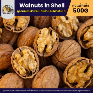 Farmland Walnuts in Shell ลูกวอลนัท สำหรับนกแก้วและสัตว์ฟันแทะ (แพ็คเก็จ 500G)