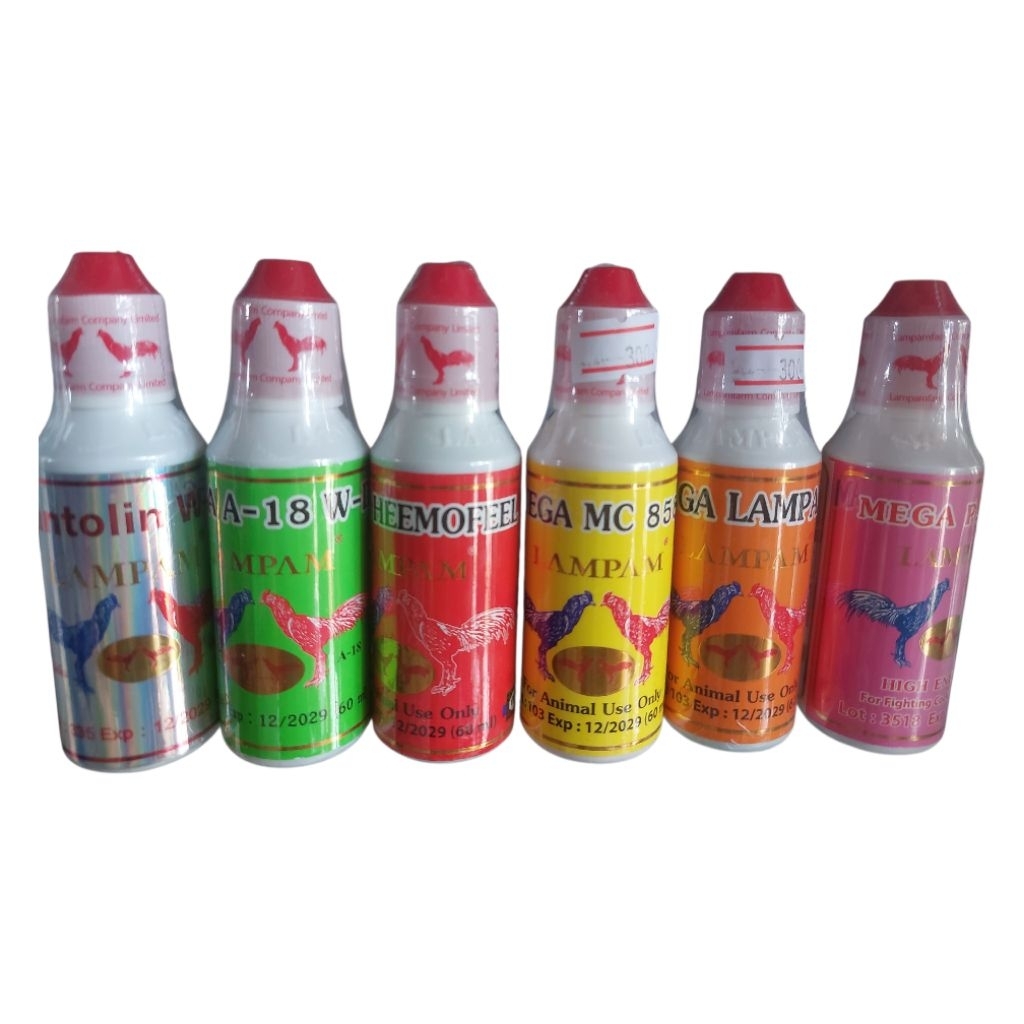 ลำปำชุดเลี้ยง6มหัศจรรย์ซานโตลิน  A18ลำปำ ชุดลำปำ