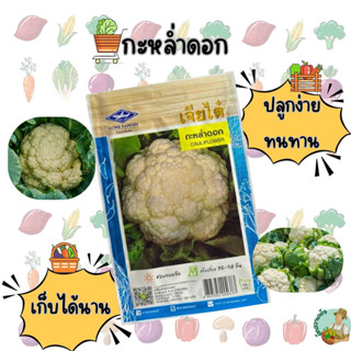 กะหล่ำดอก  CT/OP-002 ผักซอง เจียไต๋ เมล็ดพันธุ์ผัก เมล็ดผัก …