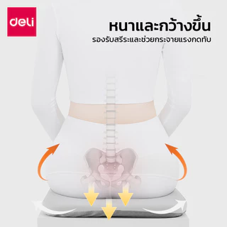 Deli เบาะรองเก้าอี้ เบาะรองนั่งเพื่อสุขภาพ ความสูง5ระดับ มีตาข่ายระบายอากาศ 3สี นั่งนุ่มสบาย Cushion