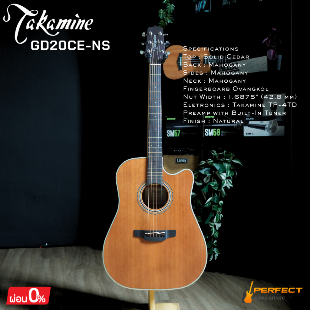 กีตาร์ Takamine GD20CE กีตาร์โปร่งไฟฟ้า Takamine [ผ่อน 0% 10เดือน]