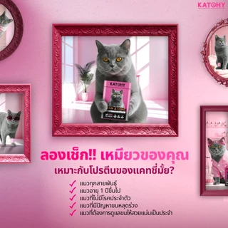 KATCHY แคทชี่ อาหารเสริมโปรตีนแมว | สูตร Skin&Coat บำรุงผิวหนังและเส้นขน ลดการขาดหลุดร่วง ขนาด 100g