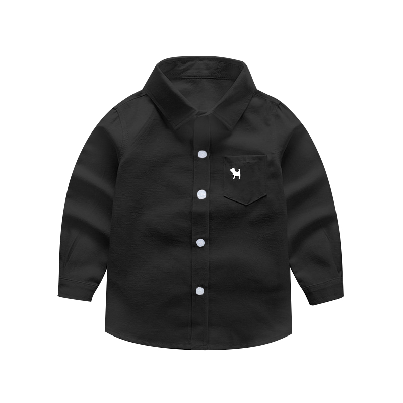 รูปภาพ 8