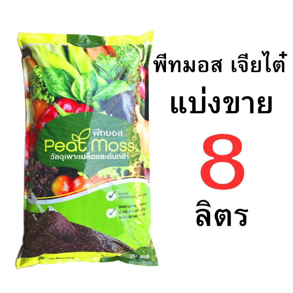 รูปภาพ 4