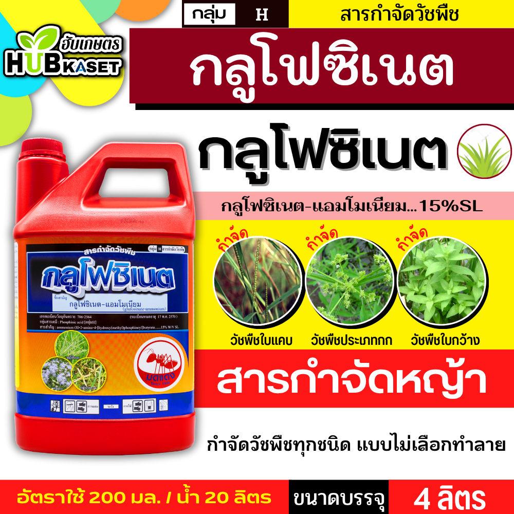 กลูโฟซิเนต 4ลิตร ตรามดแดง (กลูโฟซิเนต-แอมโมเนียม) กำจัดวัชพืชหลังงอกแบบไม่เลือกทำลาย ทั้งใบแคบและใบกว้าง