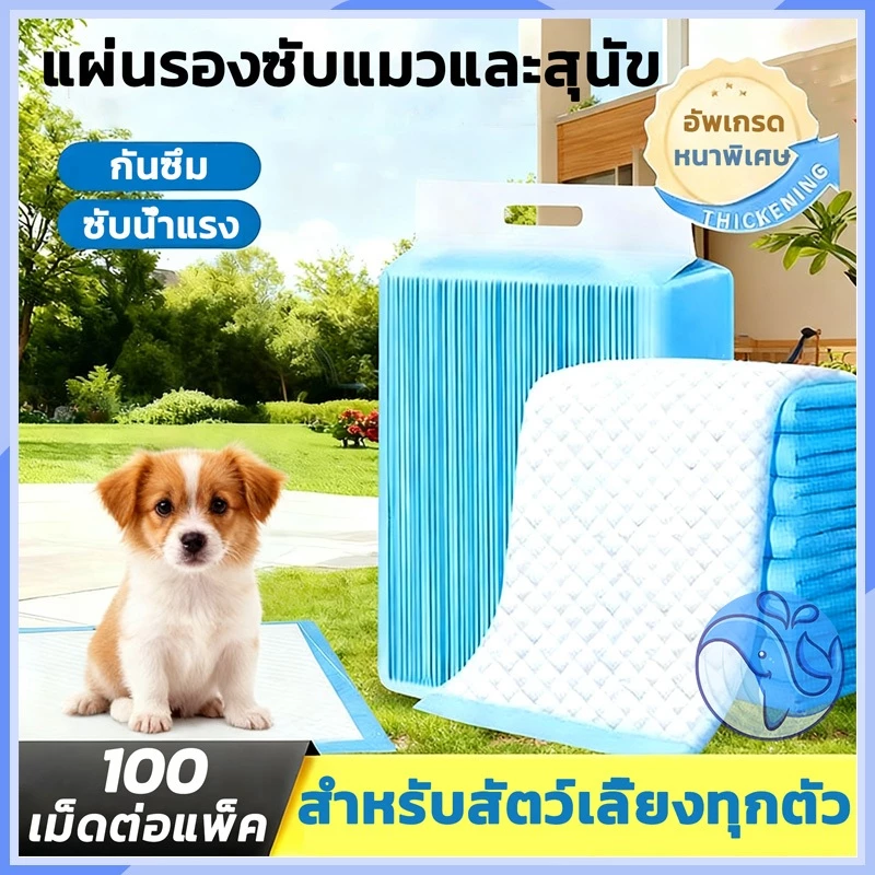 [ในสต็อก] Dog Pee Pad, การดูดซับสูง, ป้องกันแบคทีเรีย, Pee Pad, Dog Pee Pad, แมว Pee Pad, แผ่นดูดซับ, สามารถใช้กับทรายแม