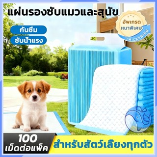 [ในสต็อก] Dog Pee Pad, การดูดซับสูง, ป้องกันแบคทีเรีย, Pee P…