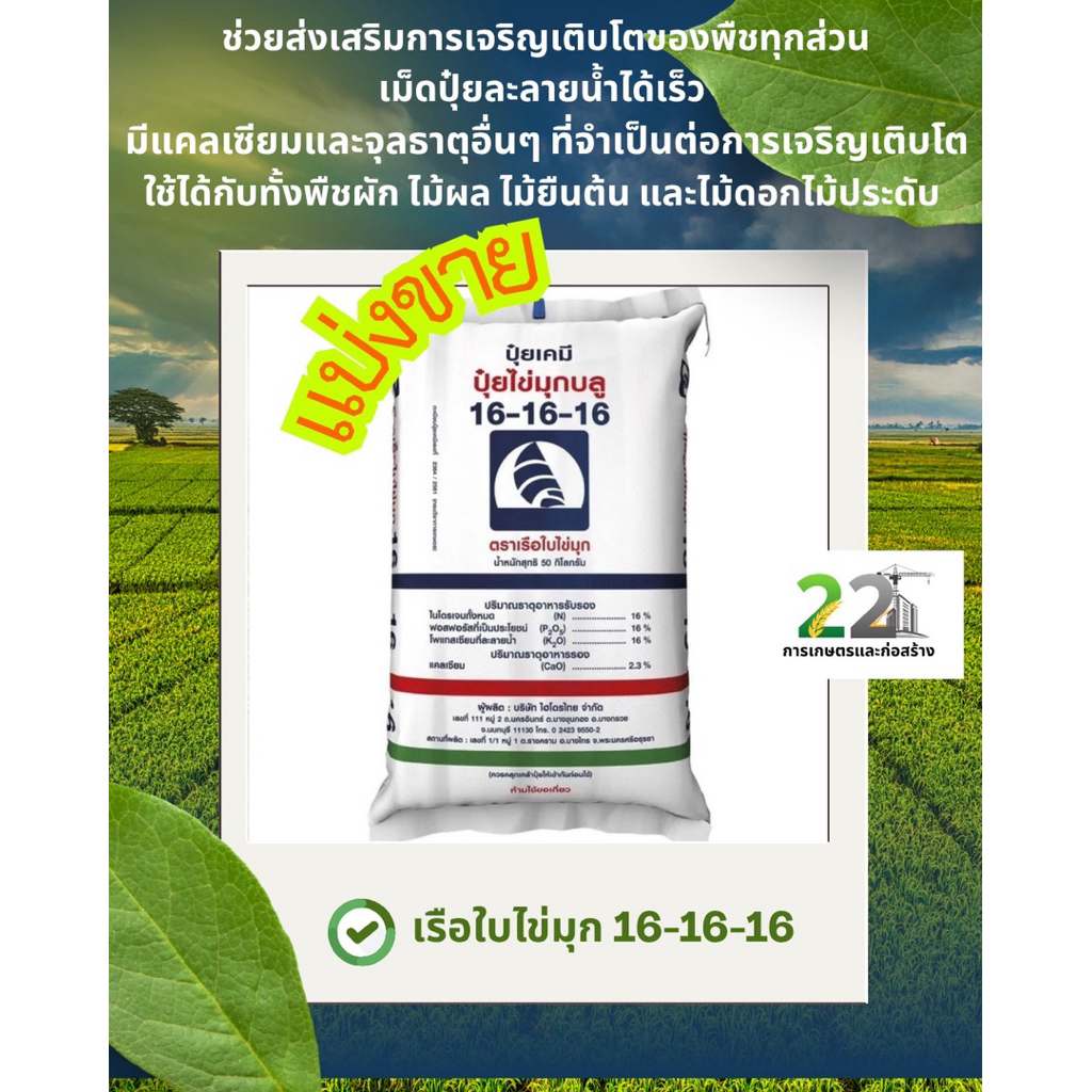 แบ่งขาย 500 กรัม , 1 กิโลกรัม ปุ๋ยตราเรือใบไข่มุก สูตร 16-16-16 ของแท้ 100%