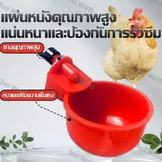 ถ้วยให้น้ำอัตโนมัติ ถ้วยให้น้ำไก่ ที่ให้น้ำนก อัตโนมัติ ปรับระดับได้ ใช้สำหรับไก่ไข่ ไก่ชน ไก่เลี้ยงทั่วไป เป็ด