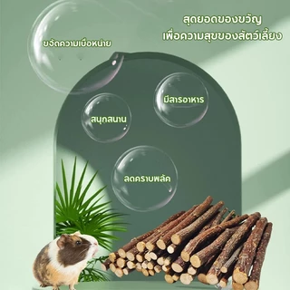 PETLUSCI ไผ่หวาน ไม้แอปเปิ้ล 500g/1kg Apple sticks ขนมลับฟันธรรมชาติ สำหรับกระต่าย หนูแฮมเตอร์