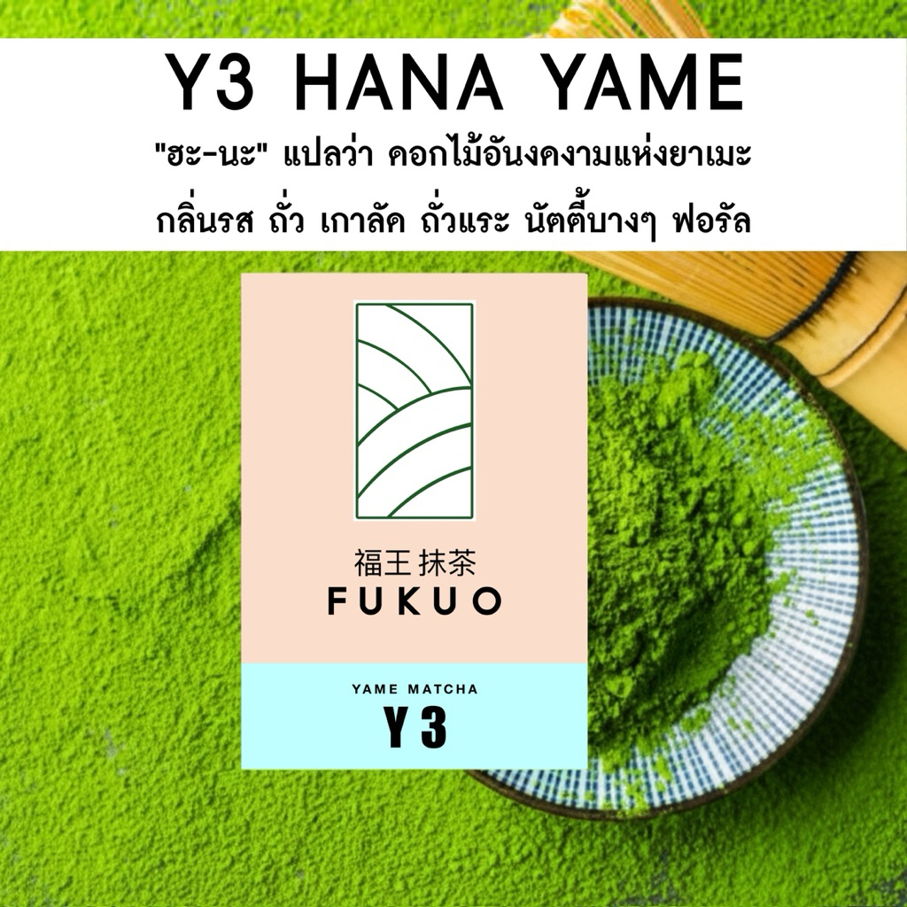 มัทฉะ (Fukuo) Y3 HANA YAME Matcha Ceremonial grade มัทฉะ โทนถั่ว จากญี่ปุ่น 🇯🇵 ของแท้ เกรดพิธีการ