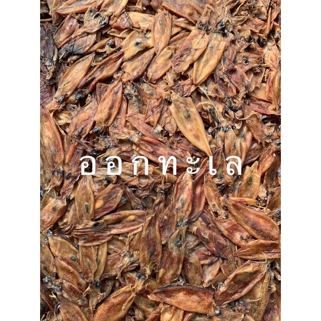 หมึกกะตอย ตากแห้ง เนื้อสะอาด เนื้อจะใส เป็นหมึกทำมาใหม่ นำหมึกมาไปอบแห้ง ทำให้คงความรสชาติ ธรรมชาติเอาไว้