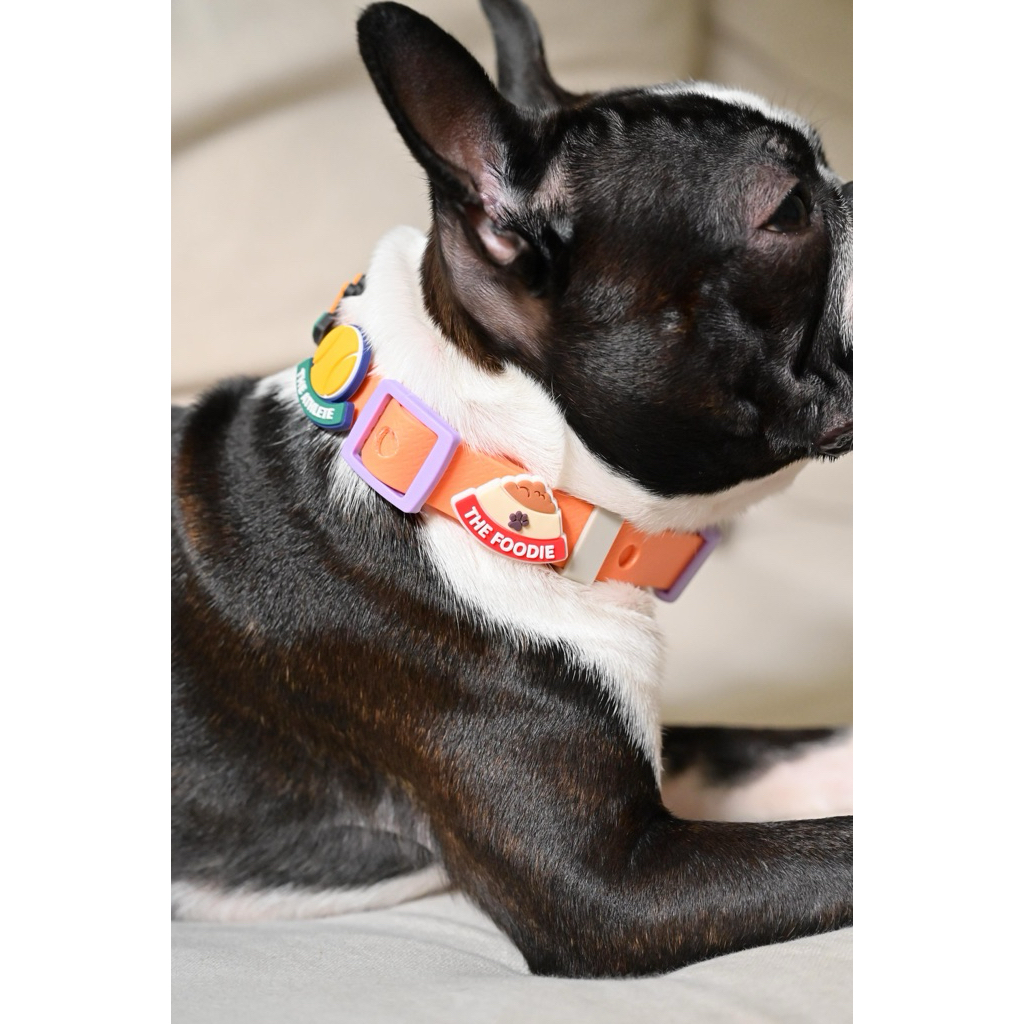 Pawsonality Charms by Human & Hound 1 ชิ้น