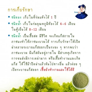 ไตรโคเดอร์มา Gongza กำจัดเชื้อรา รากเน่า โคนเน่า ไฟทอปธอรา แอนแทรคโนส ชีวภัณฑ์เกษตรอินทรีย์ ปลอดภัยต่อคน สัตว์เลี้ยง โลก
