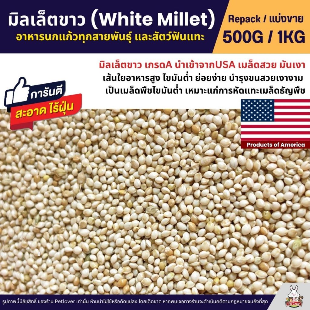 มิลเล็ตขาว White Millet USA เกรดA อาหารนกแก้ว และสัตว์ฟันแทะ สะอาด ร่อนฝุ่น (แบ่งขาย 500G / 1KG)