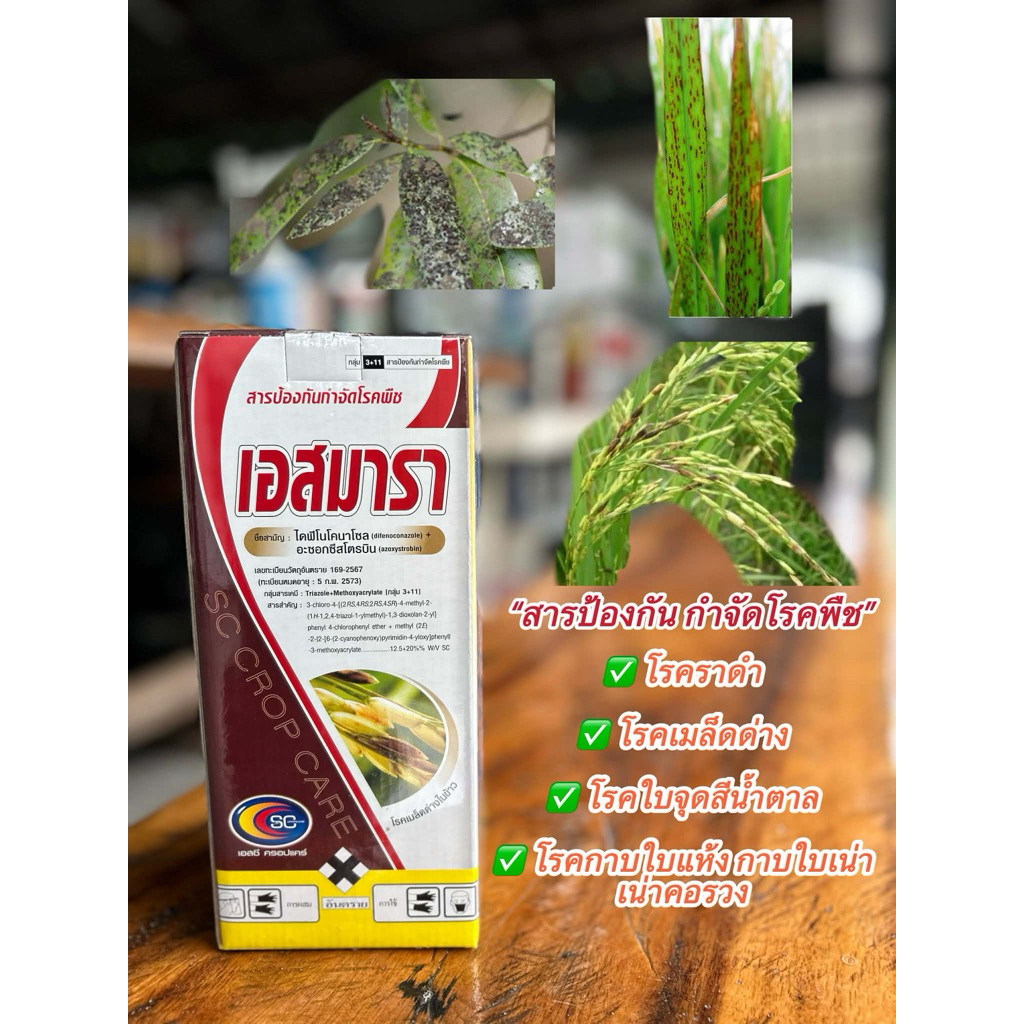 เอสมารา สูตรผสมไดฟีโนโคนาโซลและอะซอกซีสโตรบิน ขนาด 1 ลิตร สำหรับงานเกษตร พร้อมส่ง
