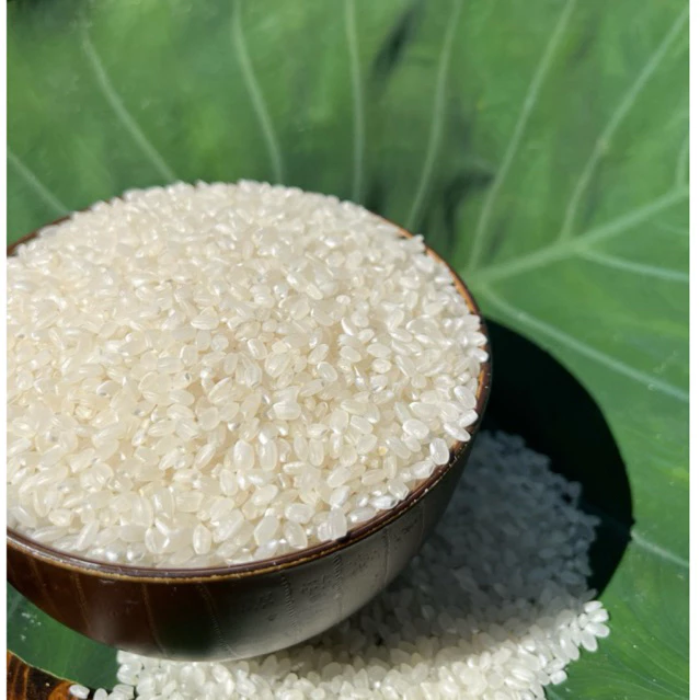 ข้าวญี่ปุ่นแท้เกรดพรีเมียม สำหรับทำซูชิ ✅(ขนาด 5Kg.)🌾 อร่อยเหนียวนุ่มอร่อย หุงเหมือนข้าวหอมมะลิ ไม่ต้องแช่ข้าว