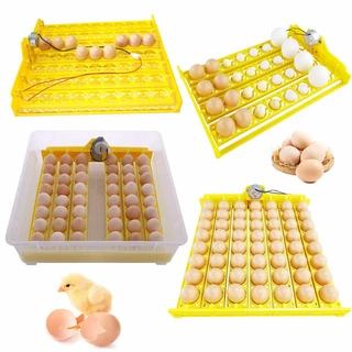 ถาดฟักไข่ อัตโนตู้ฟักไข่ รางฟักไข่ไก่ ไข่นก ถาดหมุนไข่อัตโนมัติ 32ฟอง 48ฟอง 56ฟอง พร้อมมอเตอร์ 220V