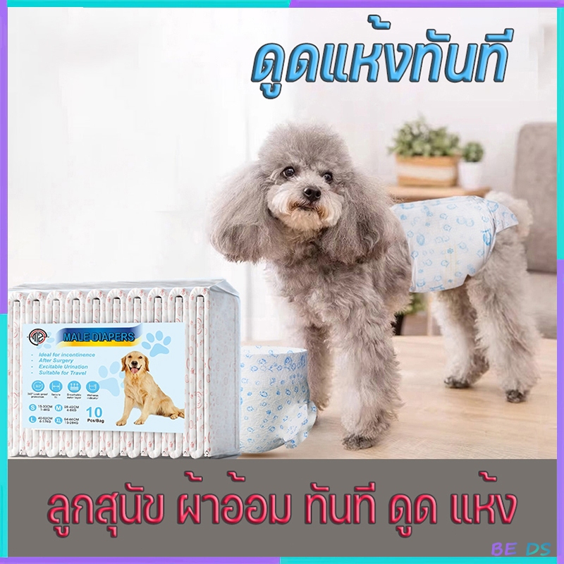 [BDS]ผ้าอ้อมสุนัข, ผ้าอ้อมสุนัข, ผ้าอ้อมสุนัข. มีให้เลือกหลายขนาด ผ้าอ้อมสุนัขแบบใช้แล้วทิ้ง