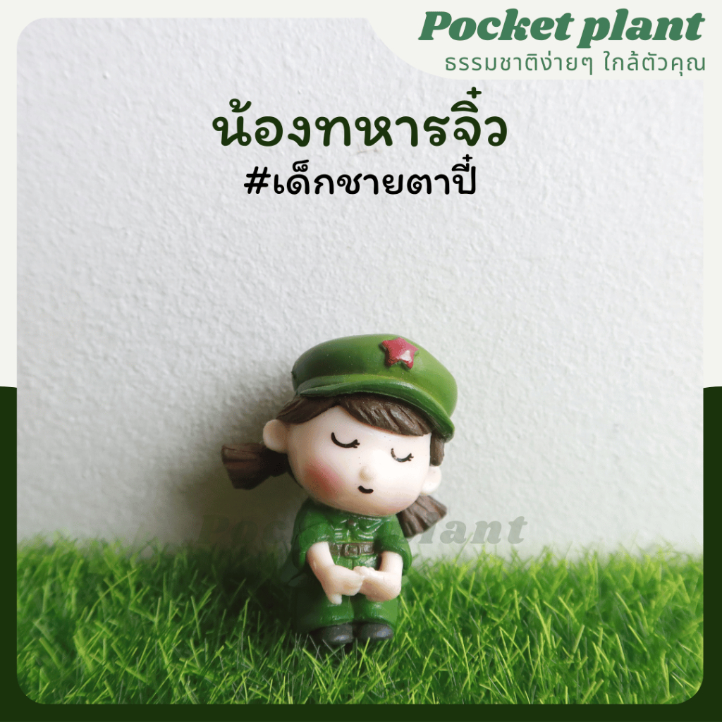 มุมมอง 7