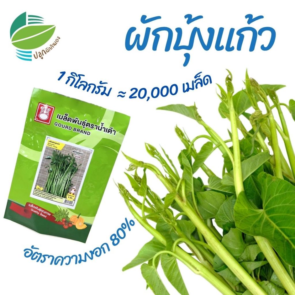 เมล็ดพันธุ์ ผักบุ้งแก้ว ตราน้ำเต้า ขนาด 1 กิโลกรัม