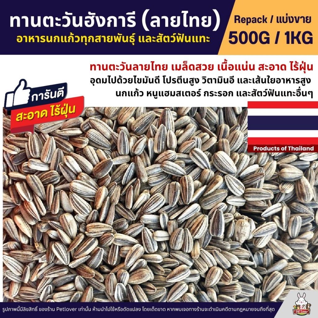 ทานตะวันฮังการี ลายไทย เกรดA เม็ดเล็ก อาหารนกแก้ว และสัตว์ฟันแทะ สะอาด ร่อนฝุ่น (แบ่งขาย 500G / 1KG)