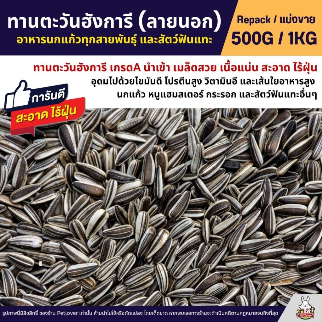 ทานตะวันฮังการี ลายนอก เกรดA เม็ดเล็ก อาหารนกแก้ว และสัตว์ฟันแทะ สะอาด ร่อนฝุ่น (แบ่งขาย 500G / 1KG)