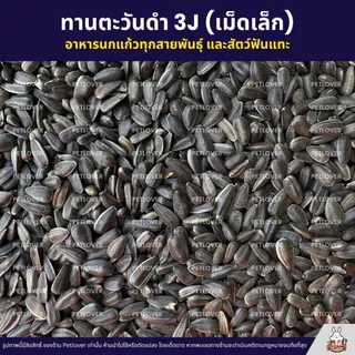 ทานตะวันดำ 3J เม็ดเล็ก เกรดA อาหารนกแก้ว และสัตว์ฟันแทะ สะอาด ร่อนฝุ่น (แบ่งขาย 500G / 1KG)