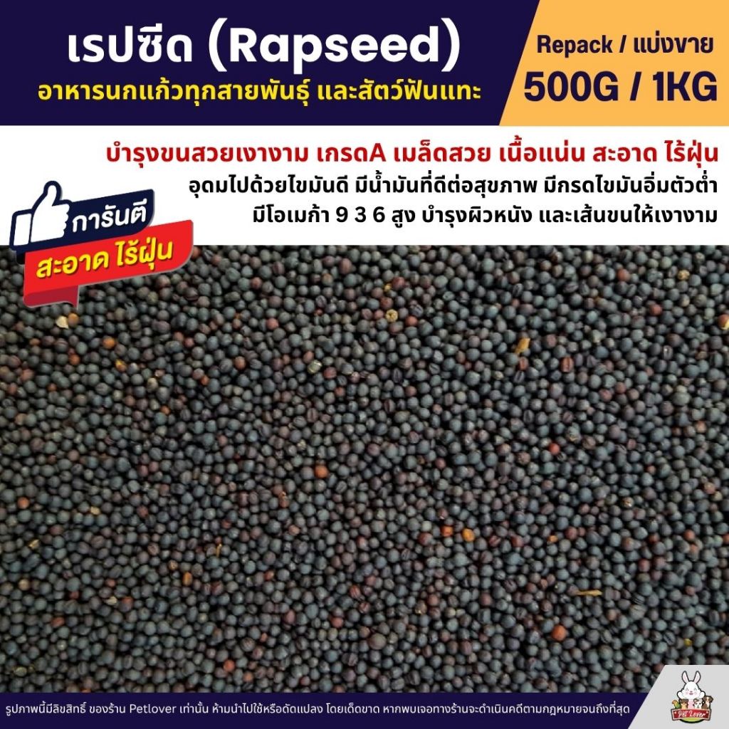 เรปซีด (Rapeseed) อาหารนกแก้ว สำหรับนกแก้วทุกสายพันธุ์ บำรุงขนสวยเงางาม (แบ่งขาย 500G / 1KG)