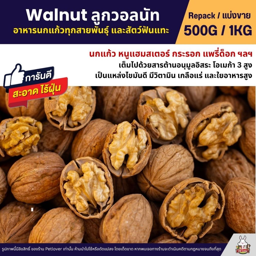 วอลนัท Walnut สำหรับนกแก้ว หนูแฮมสเตอร์ กระรอก แพรี่ด็อก และสัตว์ฟันแทะ (แบ่งขาย 500G / 1KG)