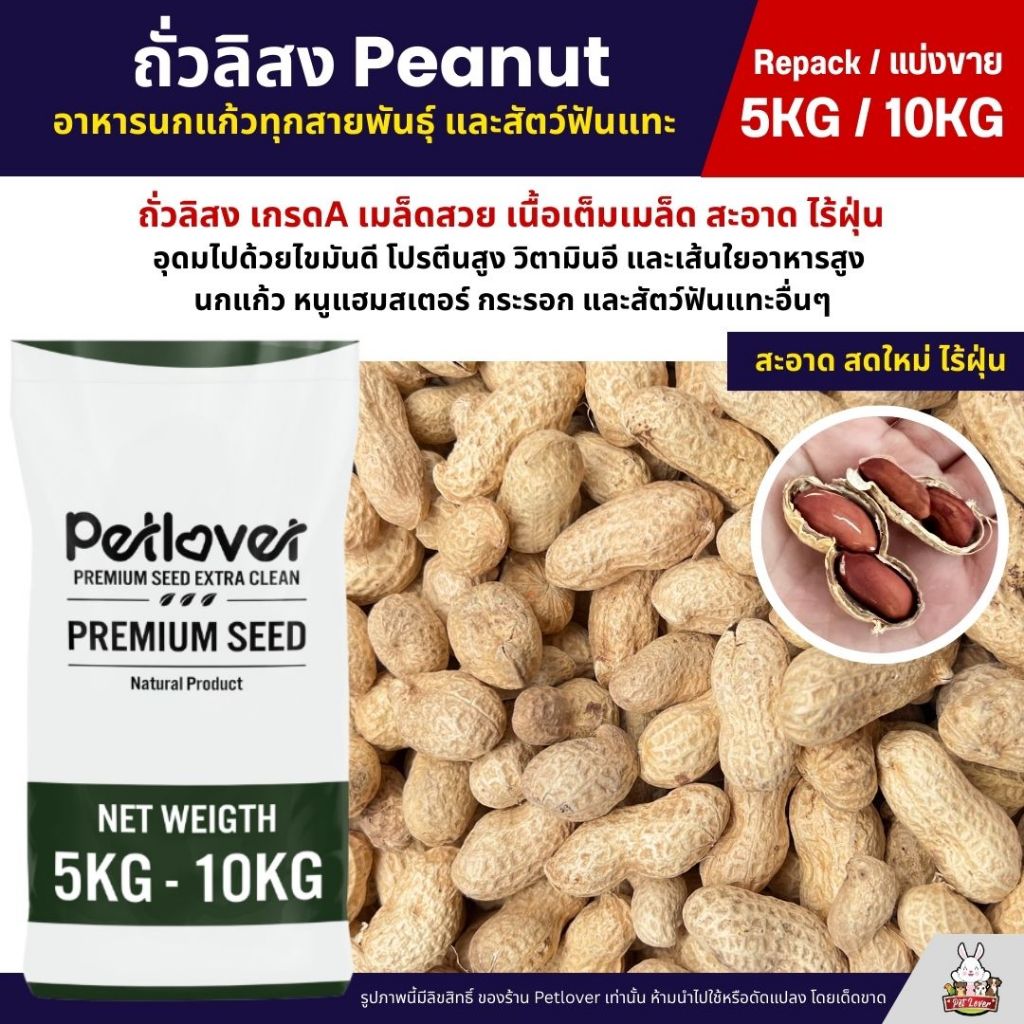 (5KG/10KG) ถั่วลิสง Peanut เกรดA นำเข้า อาหารนกแก้ว หนูแฮมสเตอร์ และสัตว์ฟันแทะ