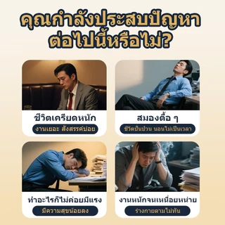 ชาจีน ชาสมุนไพร ชาโสม ชาพุทราจีน 150g