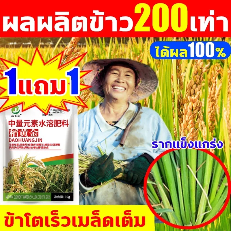 ไอไรซ์ 🌾 ฮอร์โมนพืช  ( 1L ) สำหรับข้าว 🌾 ช่วงข้าวท้อง ออกรวง เพิ่มน้ำหนัก ข้าวออกสุดรวง ออกพร้อมกัน